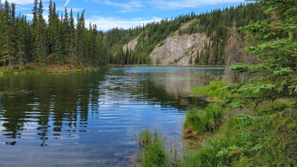 This national park is one of the top places for eco tourism.
pictured: the Denali National Park in Alaska