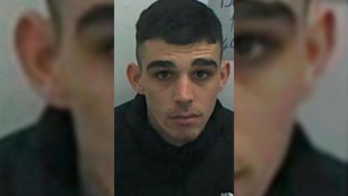 23-Year-Old Inmate Escapes from Psychiatric Center: Authorities Issue New Alert in Gironde