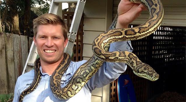 Photo: Richie Gilbert, Sunshine Coast Snake Catchers 24/7 Facebook