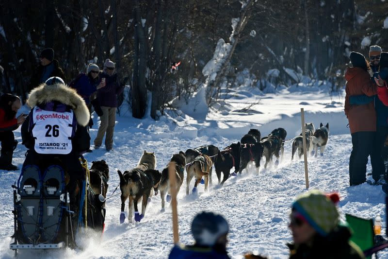 Michelle Phillips leaves in the Iditarod Sled Dog Race