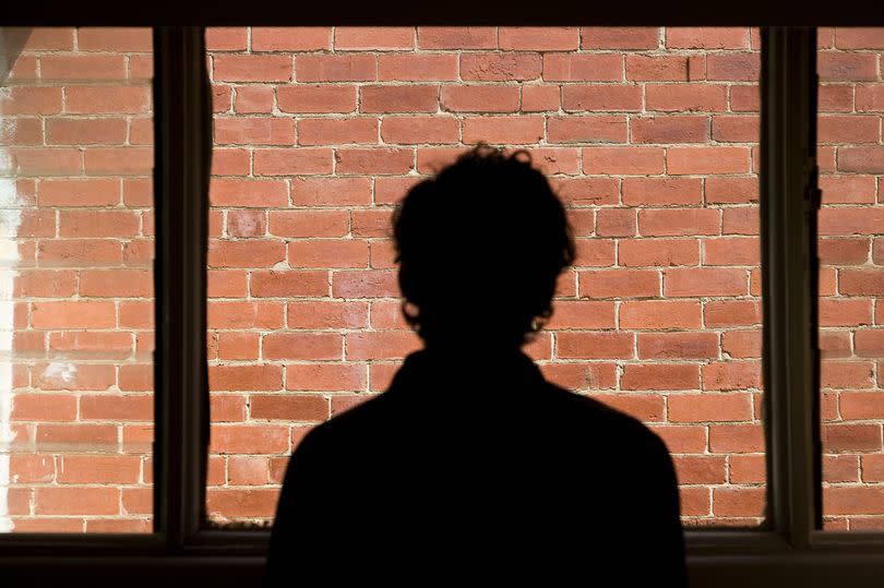 A general silhouette of a man looking out of a window at a brick wall