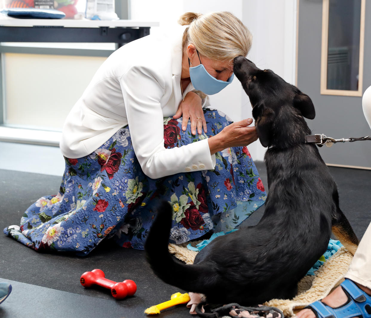 BRISTOL, UNITED KINGDOM - JULY 07: (EMBARGOED FOR PUBLICATION IN UK NEWSPAPERS UNTIL 24 HOURS AFTER CREATE DATE AND TIME) Sophie, Countess of Wessex (wearing a face mask) meets a guide dog puppy in training as she visits the Guide Dogs for the Blind Association to open their new south west regional centre and celebrate the charity's 90th anniversary on July 7, 2021 in Bristol, England. During the visit Princess Alexandra, who has been patron the Guide Dogs for the Blind Association since 1954, formally handed over the patronage to Sophie, Countess of Wessex. (Photo by Max Mumby/Indigo/Getty Images)