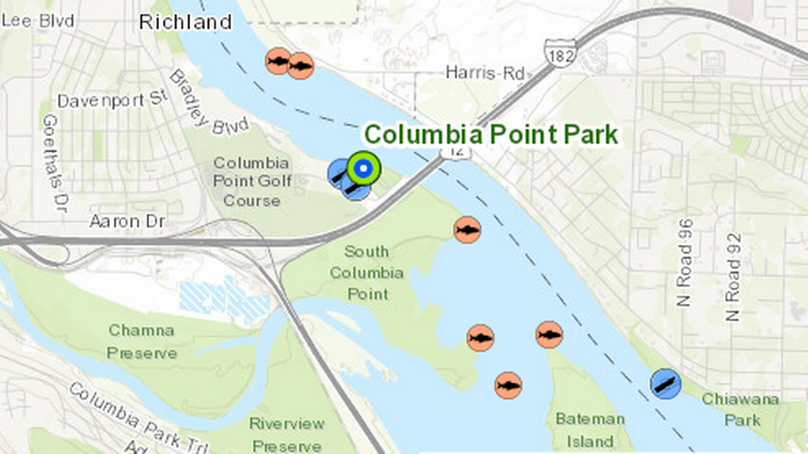 The fish in orange circles on this map show areas that have historically been good for catching northern pikeminnow near Columbia Point Park in Richland