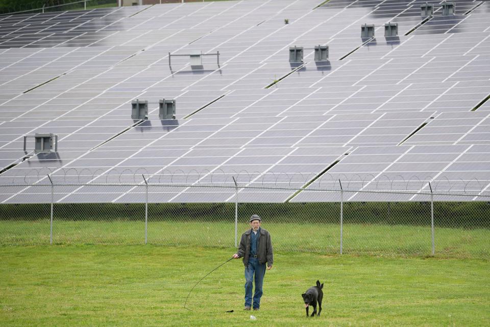 A man plays with his dog beside the solar panel field at John Tarleton Park in Knoxville, Tenn. on Saturday, April 16, 2022.