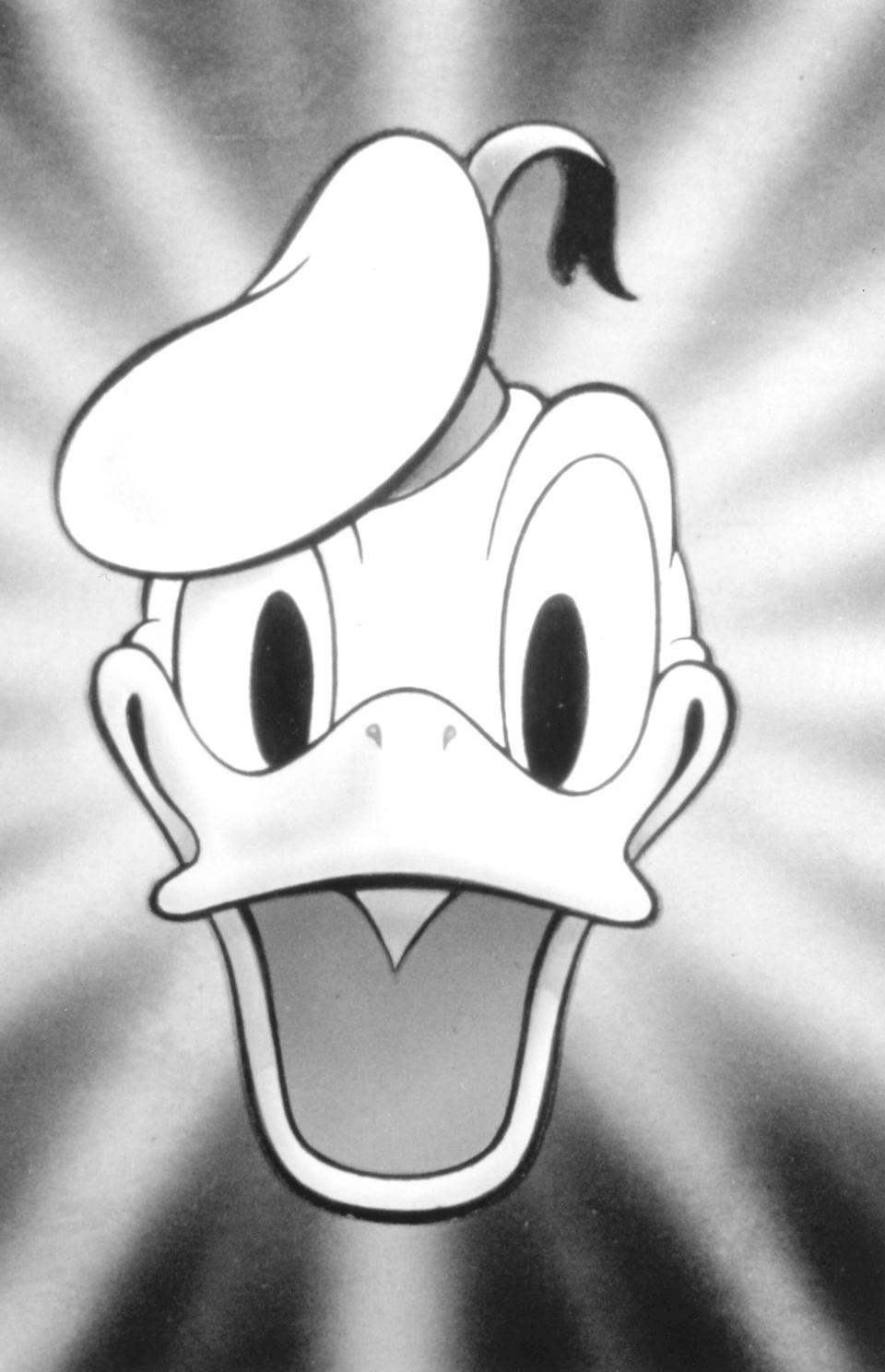 Am 9. Juni 1934 war Donald Duck erstmal in einem Zeichentrickfilm zu sehen. (Bild: Disney)