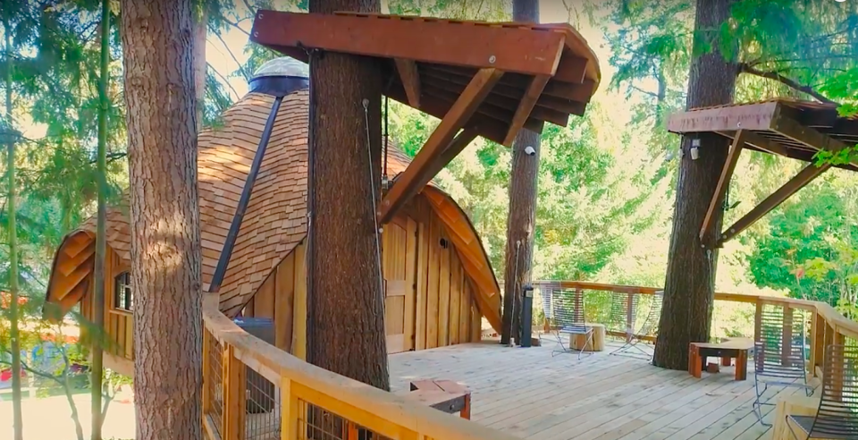 Microsoft tree house