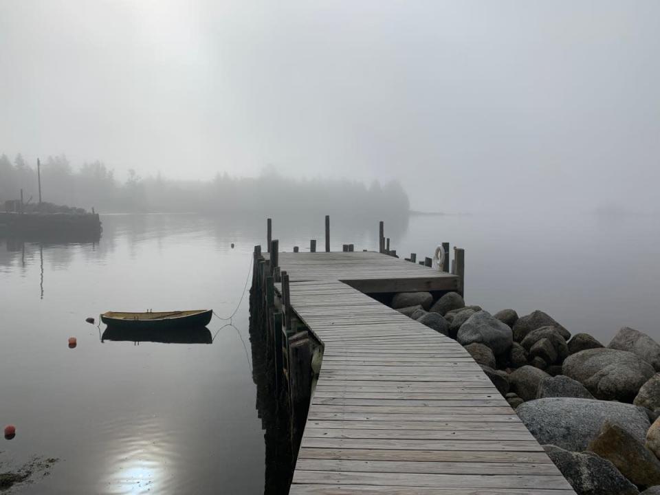 Fog drifts over the water at Boutiliers Point, N.S. Scientists still know little about how fog forms. (Paul Withers/CBC - image credit)