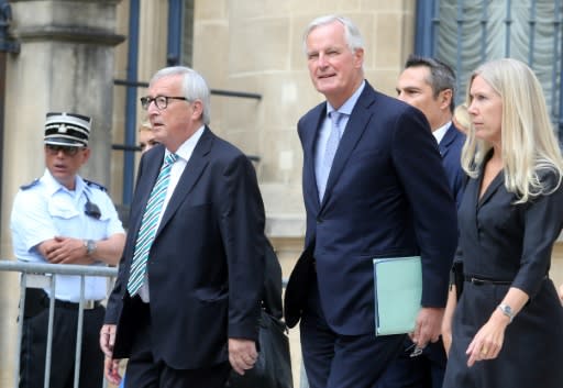 EU Brexit negotiator Michel Barnier (C) has said he is not optimistic about the process