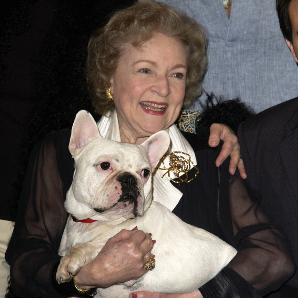 23 Pictures Of Betty White With Puppies To Brighten Your Day