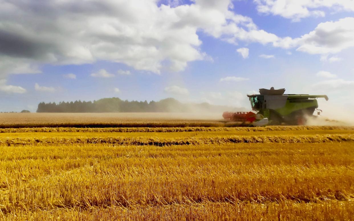 Higher cereals costs were behind a rise in world food prices