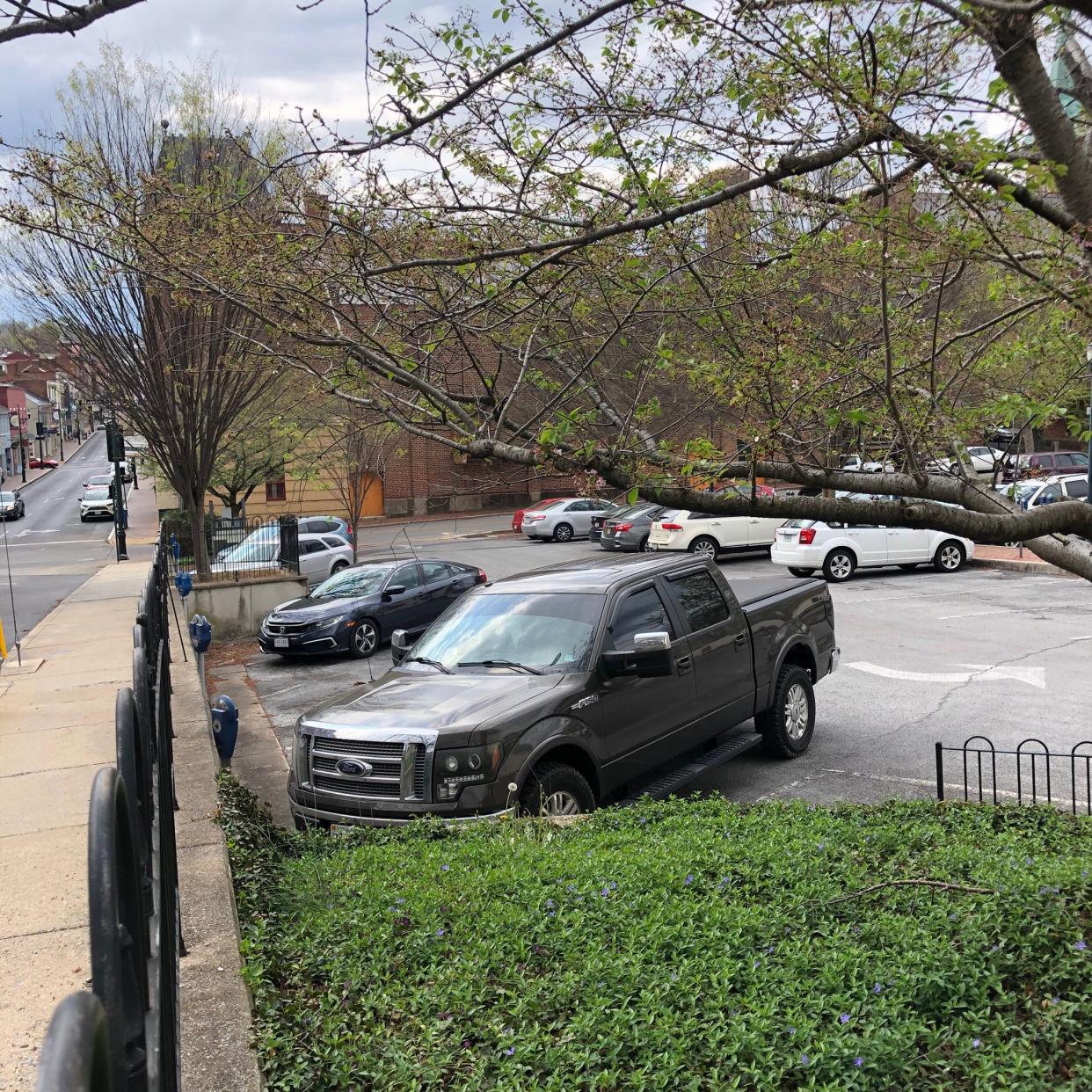 The Hardy Lot lies at the corner of North Market Street and East Beverley Street, and serves as a convenient parking location for the owners, employees, and customers of businesses on Beverley Street