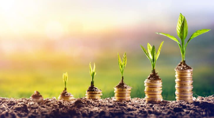 coins and plants growting up from the ground to represent growth stocks to buy