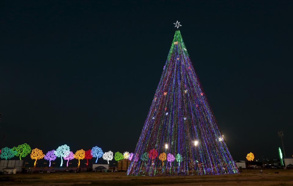 Christmas trees around the world