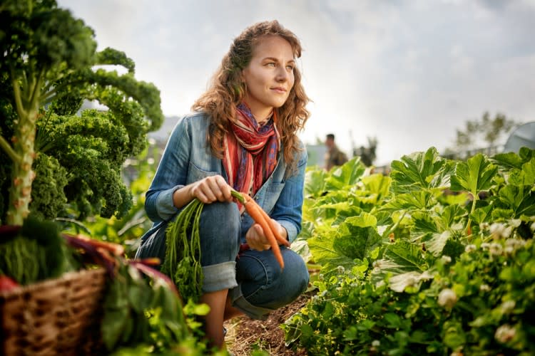 Countries with the Highest Rates of Vegetarianism