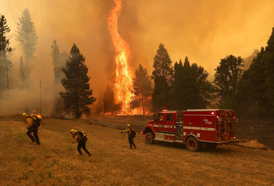 Firefighters battle the Oak Fire near Mariposa, Calif., on July 23. The fast moving Oak Fire burning outside of Yosemite National Park has forced evacuations, charred over 11,500 acres and destroyed several homes.<span class="copyright">Justin Sullivan—Getty Images</span>