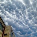 Auch am anderen Ufer des Michigansees in Chicago, Illinois, lohnte sich ein Blick nach oben. Dort konnten Mammatus-Wolken bestaunt werden. So werden beutelartige, an der Unterseite von Wolken hängende Ausformungen genannt. (Bild-Copyright: Twitter/Nnedi)