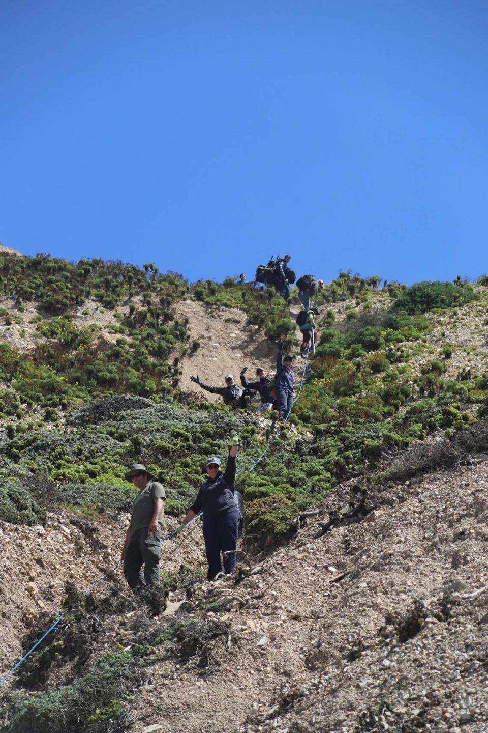 The tagging crew (and helpers from the military) hiking gear down to the beach with gear at Vandenberg. Vandenberg ornithologist Nick Todd, an experienced climber, helped the team set up a rope to help safely access the beach there. 