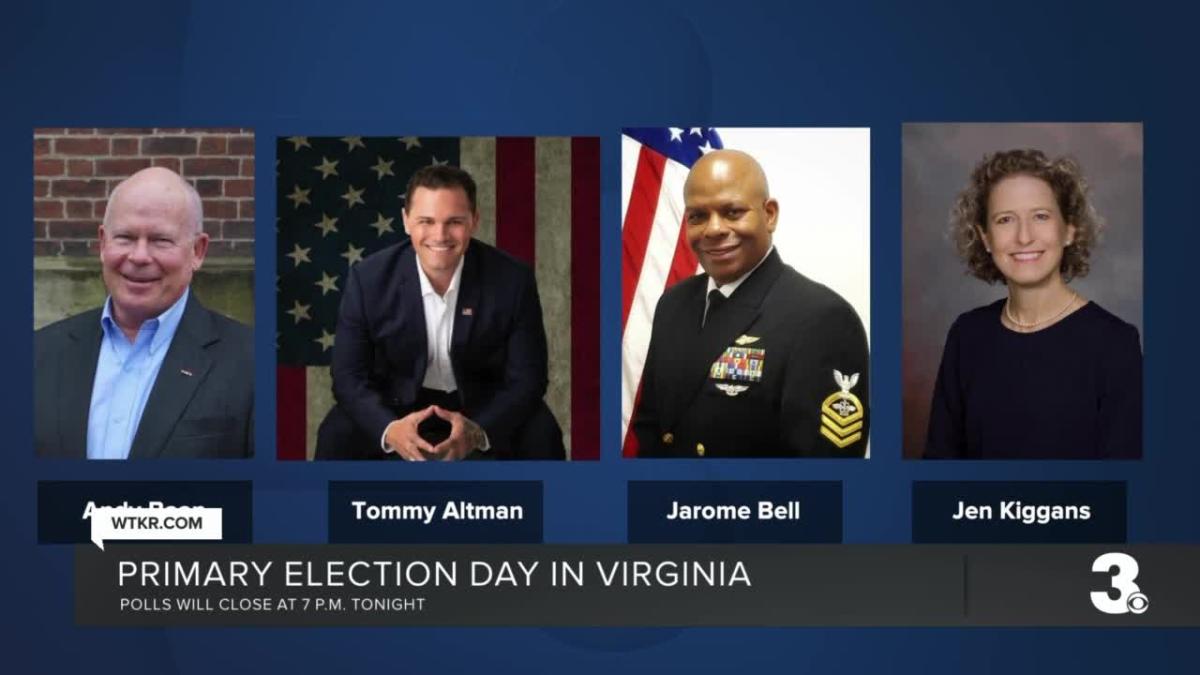 Primary election day in Virginia