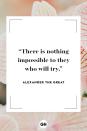 <p>There is nothing impossible to they who will try.</p>