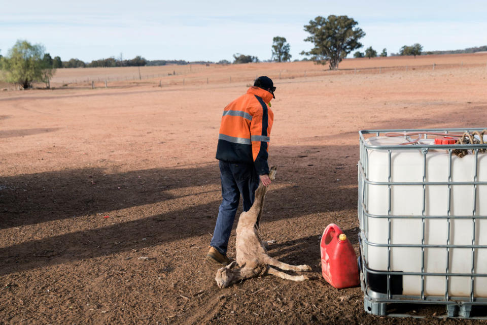 Australia is in the grips of the worst drought for decades