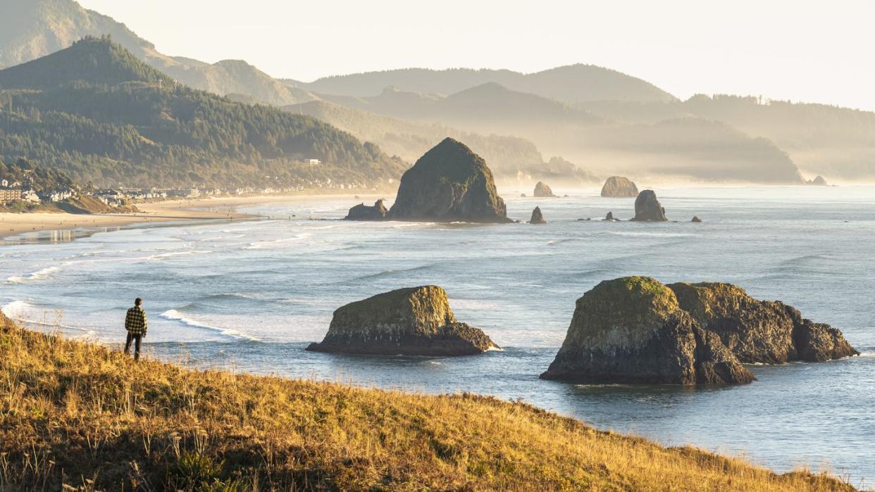 man looking at view, ecola state park, cannon beach, oregon, usa