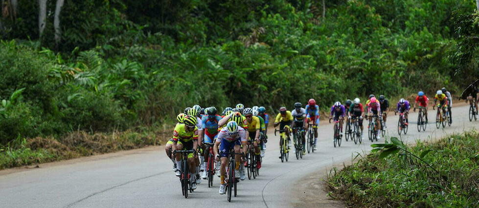 Avec près de 90 % de son territoire national composé de forêts primaires, le Gabon représente une richesse de biodiversité exceptionnelle.   - Credit:Gautier Demouveaux