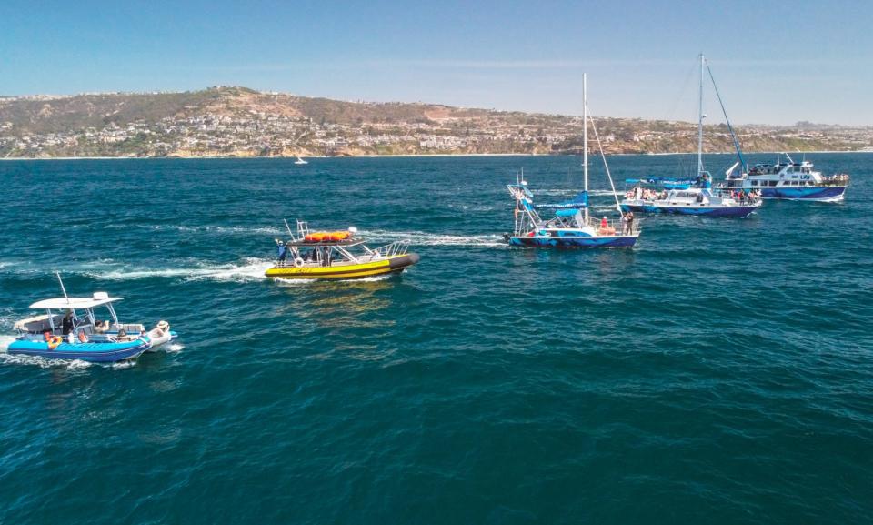 A whale watching fleet moves in the water by the city of Dana Point. Dana Point was named the first Whale Heritage Site in the United States Thursday, Jan. 27, 2021.