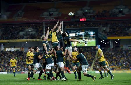 Australia's Wallabies flanker Scott Fardy (yellow, C) reaches for a line out ball against South Africa's Springboks during their Rugby International match in Brisbane, July 18, 2015. REUTERS/Jason Reed