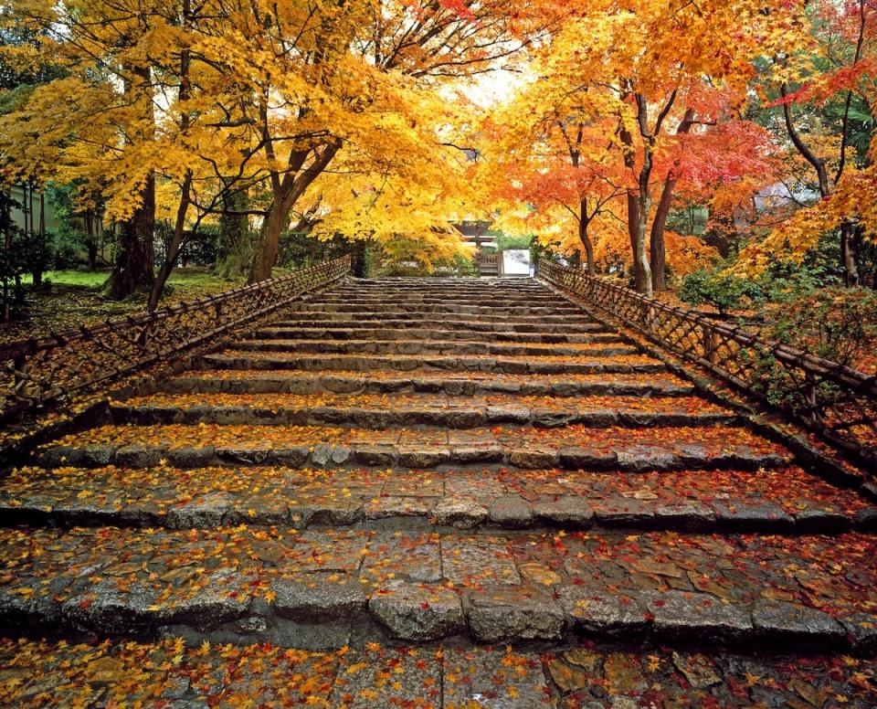 龍安寺（圖片來源：Getty Creative）