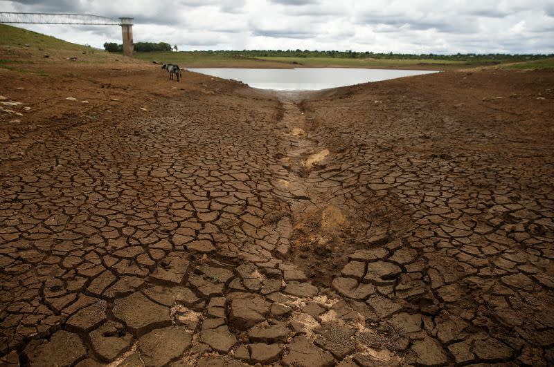 Caked mud is seen before a small patch of water during a prolonged drought at a dam near Bulawayo