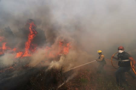 Firefighters help to put out a forest fire near the village of Vila de Rei,