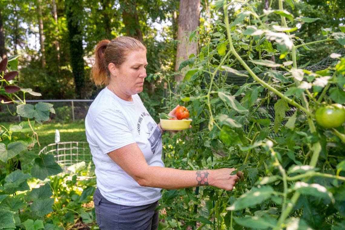 Gardener Leigh Beaver picks tomatoes in her backyard.