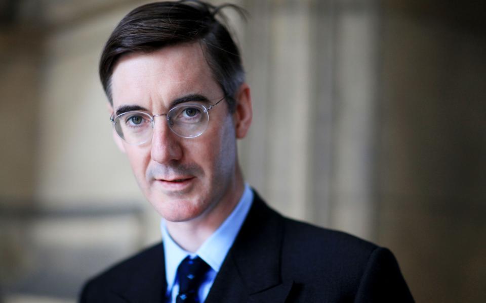 Jacob Rees-Mogg hasn't taken part in all childcare tasks since spawning six children