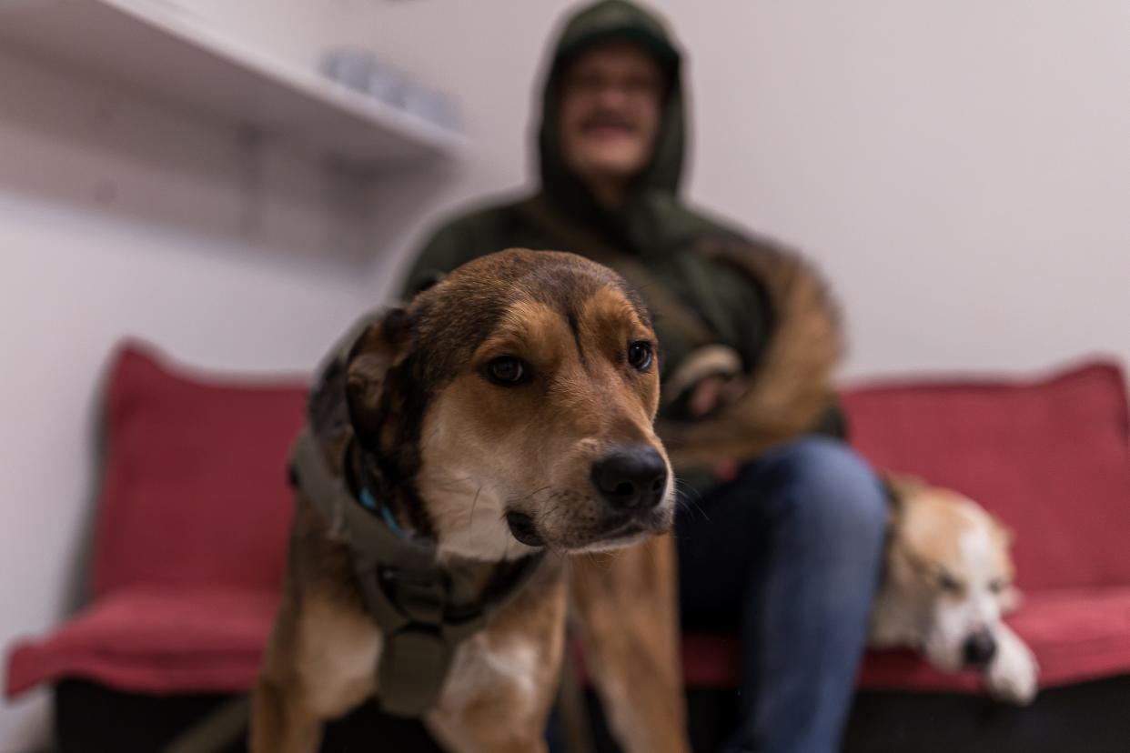 El Paso jiu-jitsu instructor Micah Baier sits next to the dog he has lost, Bailey, on Wednesday, Feb 15, 2023, at Gracie Barra Jiu-Jitsu in West El Paso. The dog found its way back to the shelter three days later.