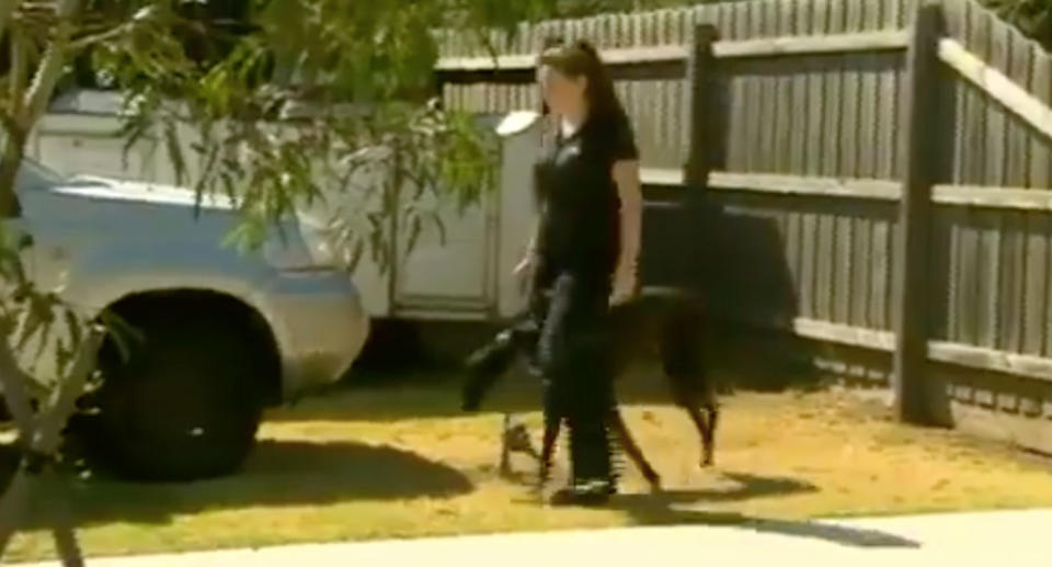 Melbourne mum saves girl, 1, from greyhound attack in Cranbourne West