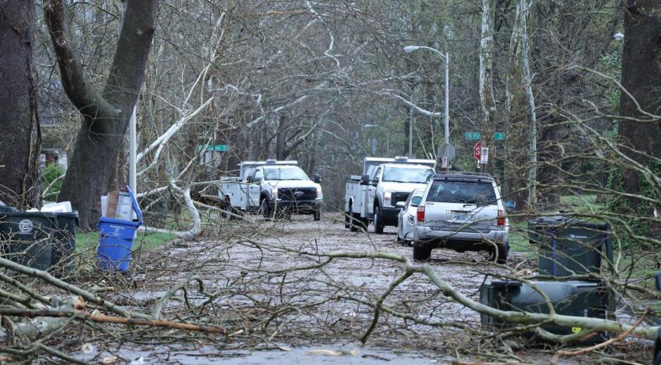 City workers arrive on the scene of Fincastle Street to survey the area after a downed tree caused damage to residential property during a severe thunderstorm in Lexington, Ky on April 2, 2024. Tasha Poullard/tpoullard@herald-leader.com