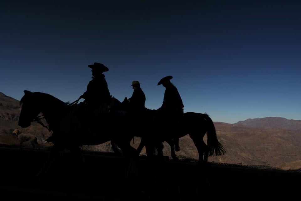 Cattle ranchers at Farellones, close to the Andes mountain range (Reuters)