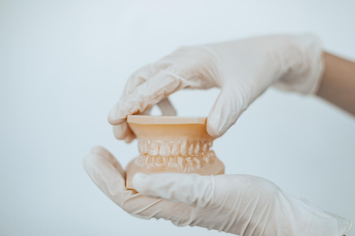 Dental teeth model on white background