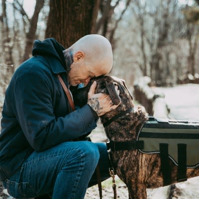 National nonprofit Petco Love invests in Shelter to Soldier to save