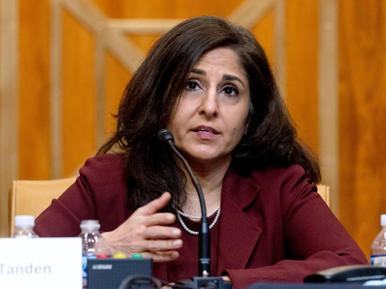 <p>Neera Tanden testifies before the Senate Budget Committee </p> (AP)