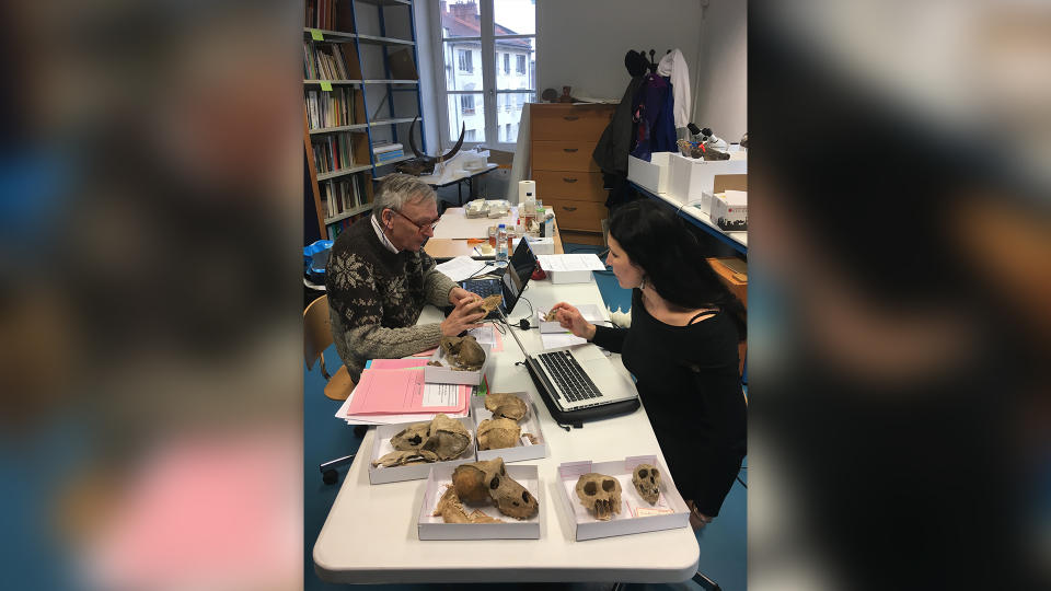 Authors Wim Van Neer and Stéphanie Porcier examine the skeletons of mummified baboons from an animal necropolis in southern Egypt.