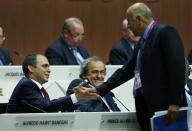 UEFA President Michel Platini smiles as Jibril Al Rajoub (R), President of Palestinian Football Association, shakes hands with Prince Ali bin Al Hussein of Jordan at the 65th FIFA Congress in Zurich, Switzerland, May 29, 2015. REUTERS/Arnd Wiegmann