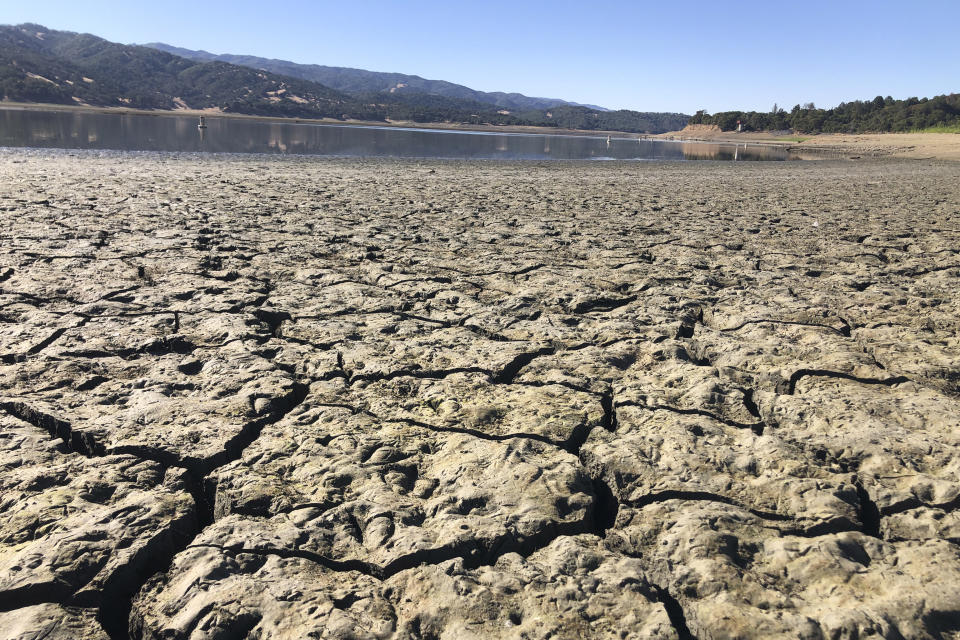 An exposed dry bed is seen at Lake Mendocino near Ukiah, Calif., Wednesday, Aug. 4, 2021. Tourists flock to the picturesque coastal town of Mendocino for its Victorian homes and cliff trails, but visitors this summer will also find public portable toilets and dozens of signs on picket fences announcing the quaint Northern California hamlet: "Severe Drought Please conserve water." The town of Mendocino gets some of their water from the reservoir, but most of the lake water goes to Sonoma County. (AP Photo/Haven Daley)