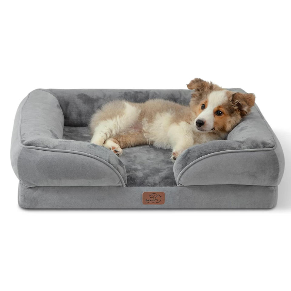 This Orthopedic Dog Bed Is 'Great for Older Dogs' — & is 43% Off