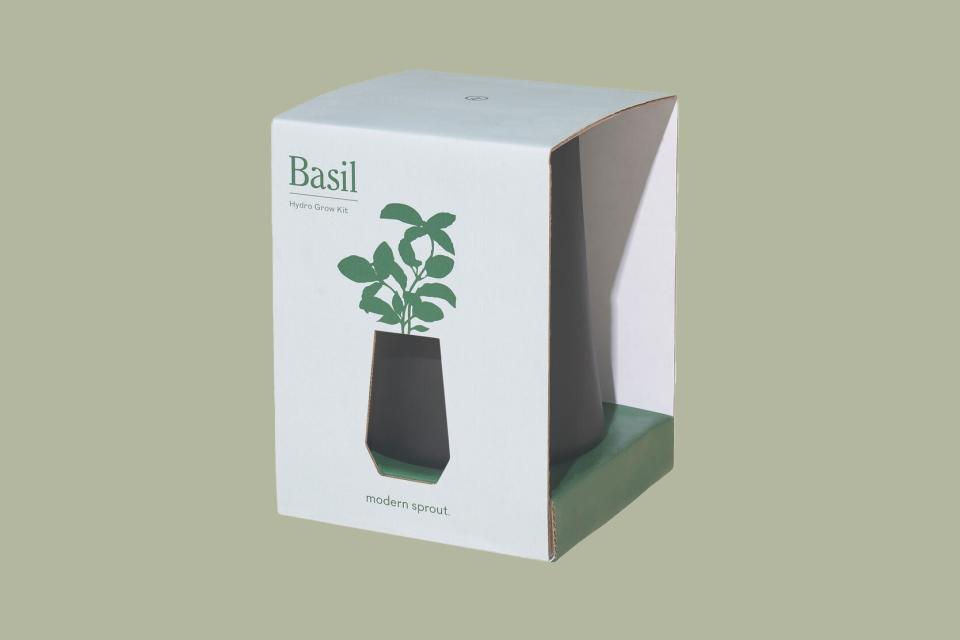 Modern Sprout Basil Indoor Gardening Kit