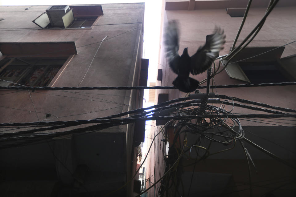 A pigeon flies near tangled electrical wires in a narrow alley which houses a building that caught fire on Sunday in New Delhi, India, Monday, Dec. 9, 2019. Authorities say an electrical short circuit appears to have caused a devastating fire that killed dozens of people in a crowded market area in central New Delhi. Firefighters fought the blaze from 100 yards away because it broke out in one of the area's many alleyways, tangled in electrical wire and too narrow for vehicles to access. (AP Photo/Manish Swarup)