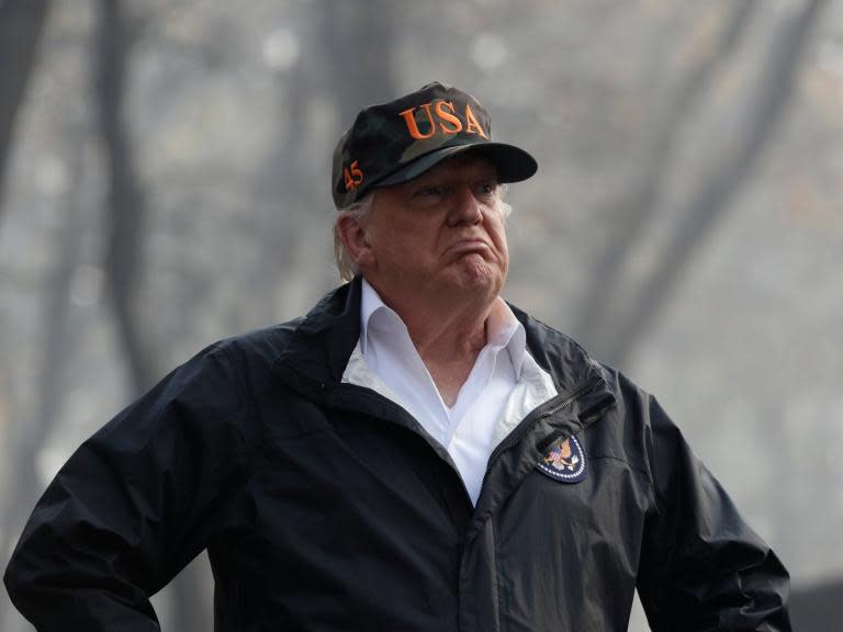 No Donald Trump, we aren't going to have 'great climate', and poor forest management only plays minor role in wildfires