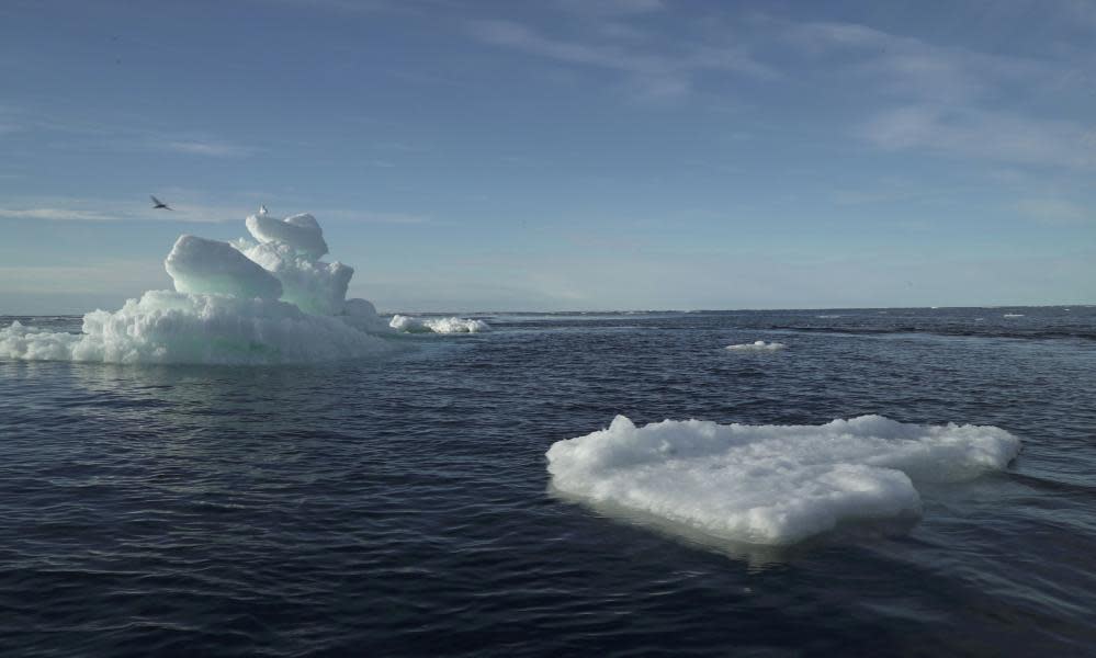 <span>Photograph: Natalie Thomas/Reuters</span>