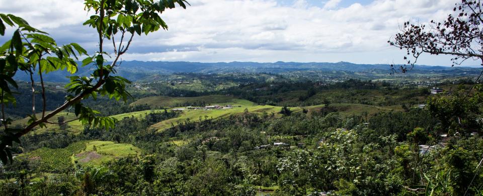 View of the&nbsp;mountainside&nbsp;around&nbsp;Lares, P.R. (Photo: Erika P Rodriguez for HuffPost)