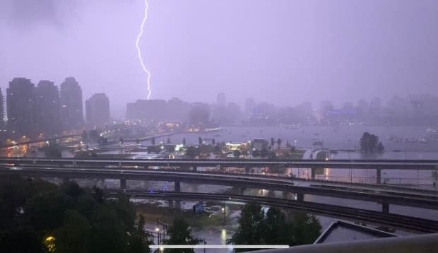 Environment Canada says 232 lightning strikes hit the South Coast in a 12-hour period between Monday and Tuesday. (Justin McElroy/CBC - image credit)